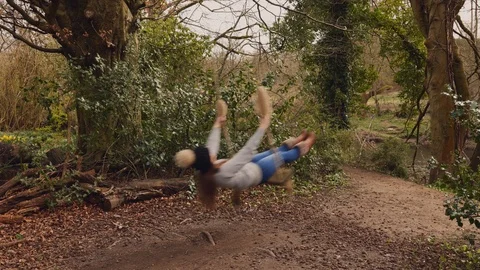 Tree Swing Vídeo Stock 127023573