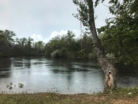Tree Swing Hanging Over a Quiet Forest River on a Rainy Day Stock Photos