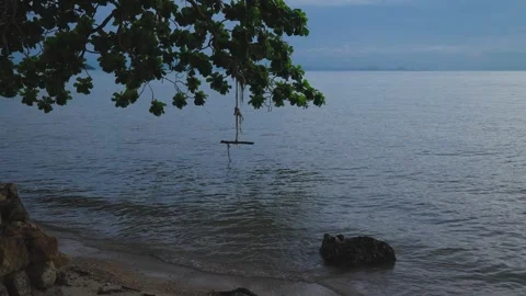 Tree swing ocean sea Stock Footage 291521741