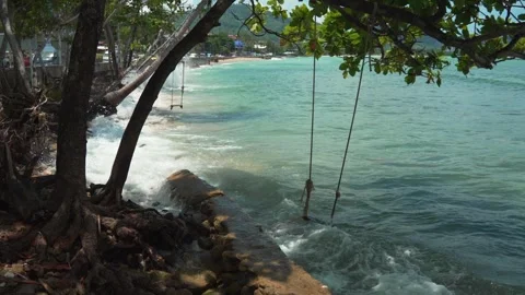 Tree Swing Overlooking Tropical Beach and Ocean Waves Stock Footage 315841120
