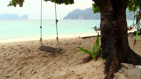 Tree with swing in paradise beach, lateral dolly camera Vídeos de archivo 80264979