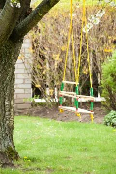 Tree swing Foto stock
