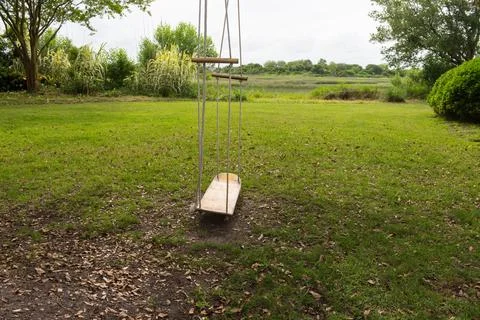 Tree Swing in the Shade Stock Photos