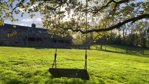 Tree Swing at Sunset with Cottage in Background – Countryside Nature Scene Stock Footage 311126637