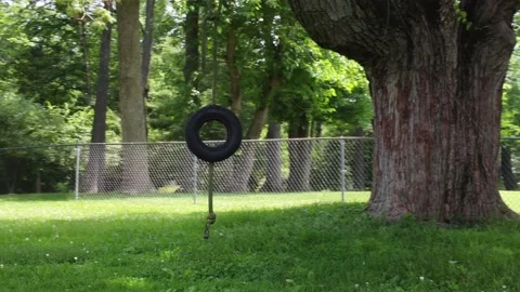 Tree swing tire in backyard with grass Stock Footage 196984417
