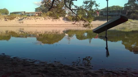 A tree swing by the waters edge Stock Footage 132145823