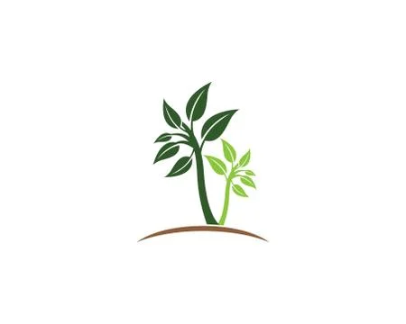 Tree symbol vector icon illustration Illustrazione stock