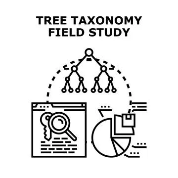 Tree taxonomy field study, data classification and research Stock Illustration