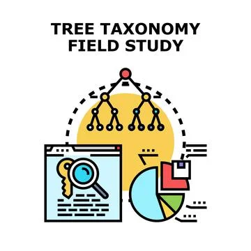 Tree taxonomy field study, data classification and research Stock Illustration