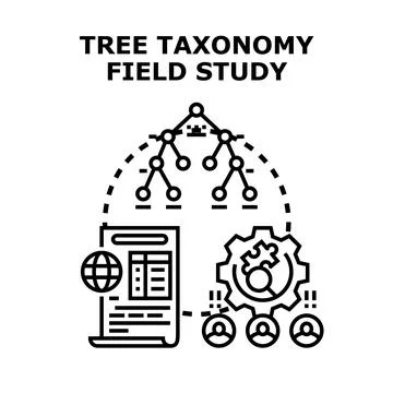 Tree taxonomy field study research and classification Stock Illustration