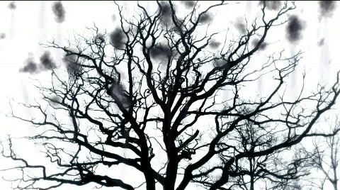 Tree of Terror - digital animation 库存影片 448053