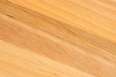 Tree texture. Timber light natural pattern. Wood grain background. Stock Photos