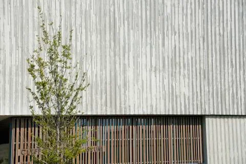 Tree with Textured Building Stock Photos