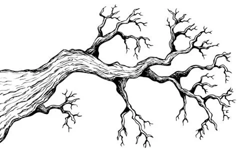 Tree theme drawing - illustration. Stock Illustration