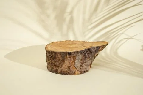 Tree thick cross section on beige background with defocused palm leaves sha.. Stock Photos