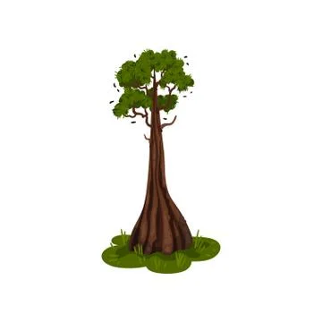 Tree with a thick trunk at the bottom. Vector illustration on white background. Stock Illustration