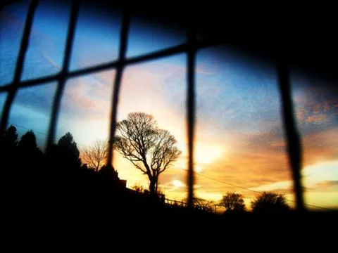 Tree through bars Stock Photos
