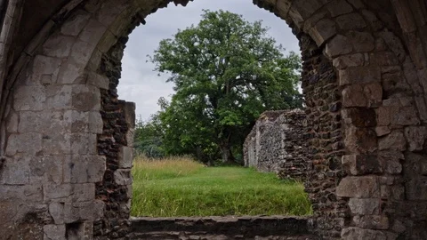 Tree through an old stone window Stock Footage 125739393