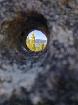 Tree through a rock hole Stock Photos