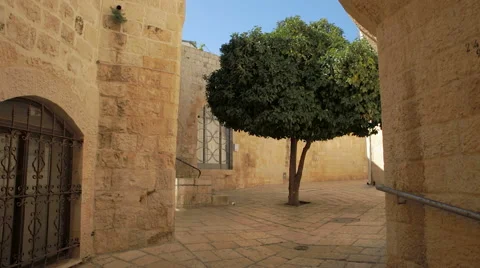 Tree in Tiny Jerusalem Plaza 스톡 동영상 60759068