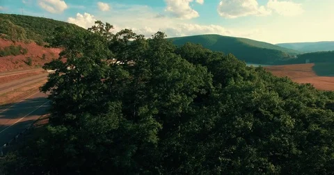 Tree top fly over reveal Stock Footage 71072442