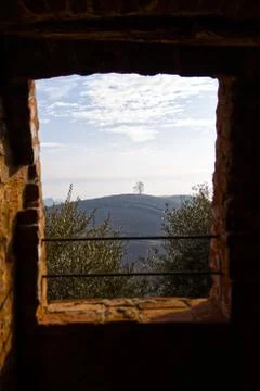 Tree on top of a hill seen through a window Stock Photos