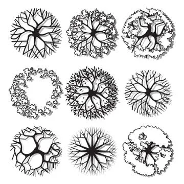 Tree top Stock Illustration