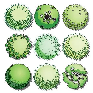 Tree top Stock Illustration