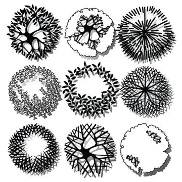 Tree top Illustrazione stock