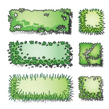 Tree top Illustrazione stock