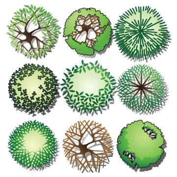 Tree top Stock Illustration