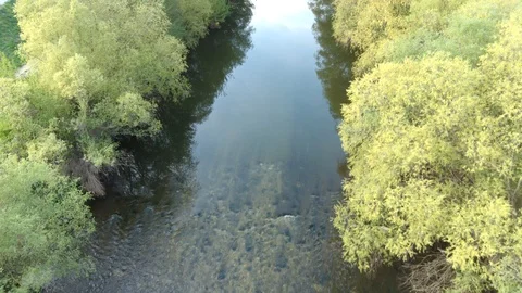 Tree top level spring flight above Nitra river, surrounded by trees Stock Footage 129004322
