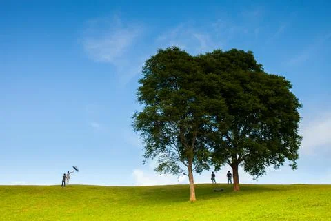 Tree on top of mountain with cloudy sky Stock Photos