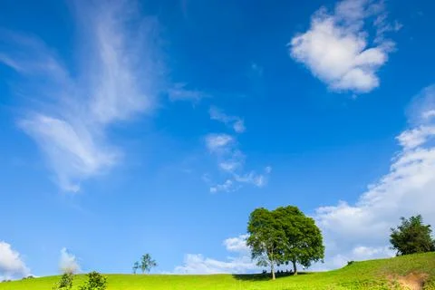 Tree on top of mountain with cloudy sky Stock Photos