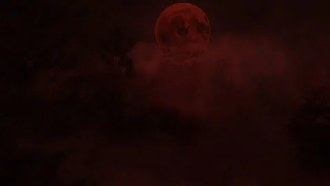 Tree top of pine trees in front of big red moon and fog Stock Footage 280695329