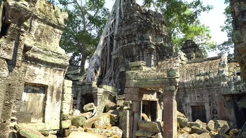 Tree On Top Of Ruins At Ta Prohm Temple, Angkor, Siem Reap, Cambodia  Видео 77251666