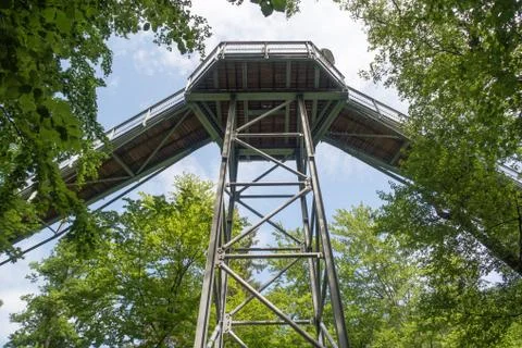 Tree top Trail seen from below, Bad Harzbug, Harz Mountains, Germany Stock Photos