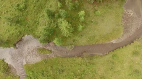 Tree Top View. Stock Footage 58139774