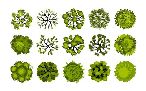 Tree top view. Garden plants and bushes for aerial planning, birdseye landscape Illustrazione stock