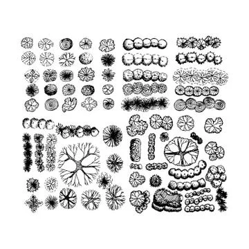 Tree top view  landscape illustration design Stock Illustration