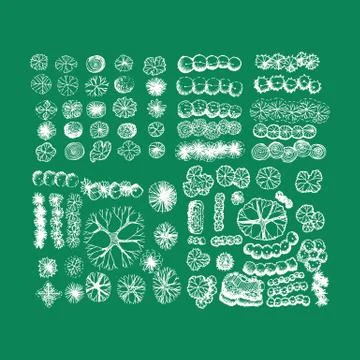 Tree top view  landscape illustration design Stock Illustration