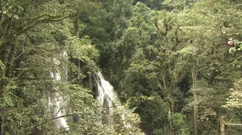 Tree Top View Of A Large Waterfall And Surrounding Trees Video stock 19226044
