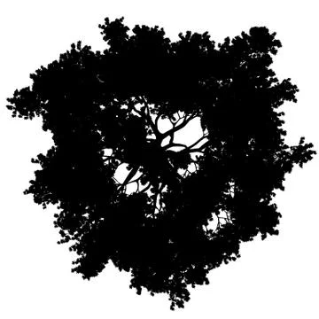 Tree top view silhouette isolated - black - vector Stock Illustration
