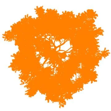 Tree top view silhouette isolated - orange - vector Stock Illustration