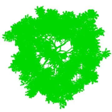 Tree top view silhouette isolated - green - vector Stock Illustration