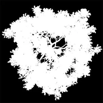 Tree top view silhouette isolated - white - vector Stock Illustration