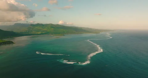 Tree tops against sky. Pine forest is a natural resource. Aerial view, flying Video stock 199279816