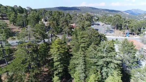 Tree tops and mountain backdrop Stock Footage 78561919