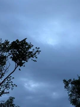 Tree Tops Beneath Moody Blue Gray Storm Clouds Stock Photos