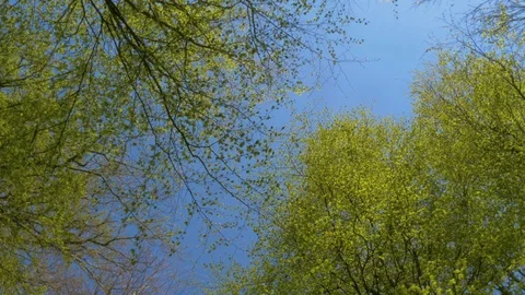 Hd Blue Film Stock Video Footage Royalty Free Hd Blue Film Videos